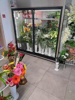 Chladiaca panoramatická vitrína na kvety RAPA - 2