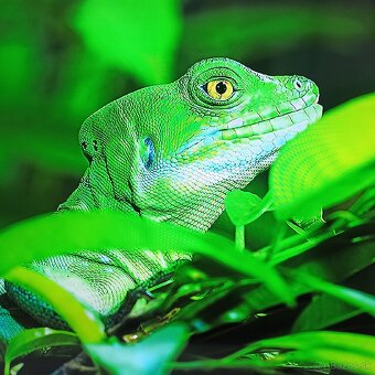 Samsung 4k led lcd tv 50 (127cm) smart - 2