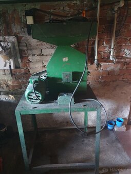 Kladivkovy srotovnik - 2