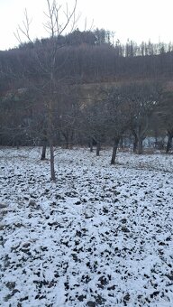 Stavebný pozemok Brestovec - 2