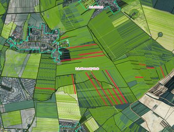 Slovenský Grob -26.000 m2 ORNÁ PÔDA - 2