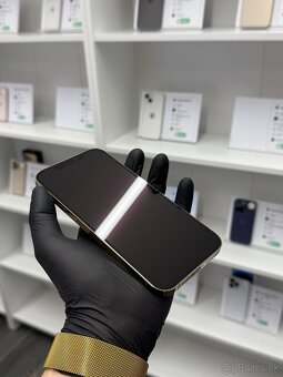 ZÁRUKA 2 ROKY / Apple iPhone 12 Pro Max 128GB Gold, 100% - 2