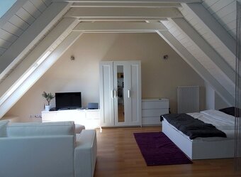 PRENÁJOM CENTRUM 1i byt, 50 m2 s park. miestom - 2