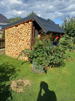 Štiepané palivové drevo breza - 2