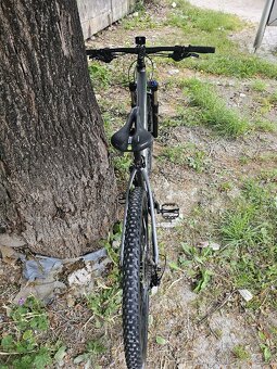 Specialized Rockhopper Comp M ,,29" - 2