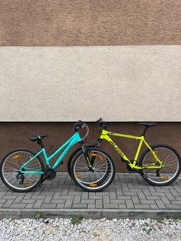 Alpina pro mužský + ženský horský bicykel, ram L a S - 2