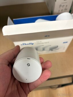 Shelly hlavica BLU TRV - 2