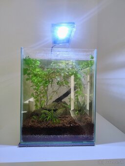 Predám akvárium - 2