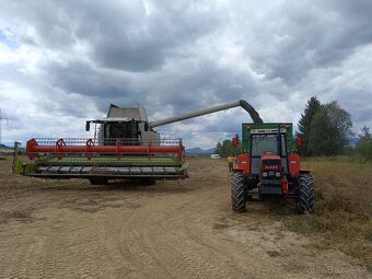 ZTS 16245 Crystal - 2