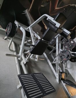 V Squat - 2