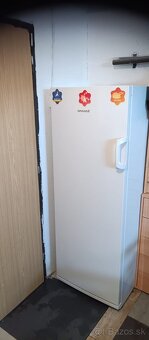 Mraznička Snaige - 2