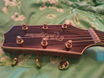Takamine GD90CE-ZC - 2