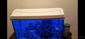 Komplet akvárium - Tetra 50L - 2