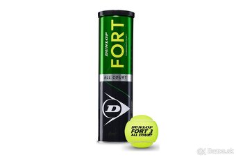 Dunlop Fort All Court TS - 18 tub/72 ks - 2
