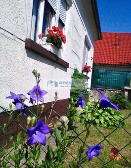 Znížená cenaPonúkame Vám na predaj dom v obci Dulovce - 2