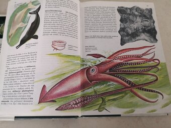 Svet živočíšnej ríše - 2