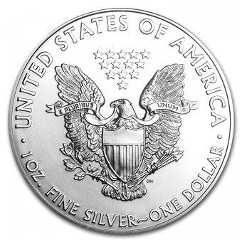 20 OZ Strieborné mince American Silver Eagle 1 oz 2013 - 2