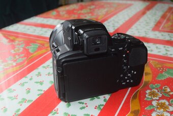 nikon p900 - 2