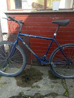 Pánsky bicykel - 2