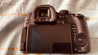 Panasonic Lumix GH3 - 2