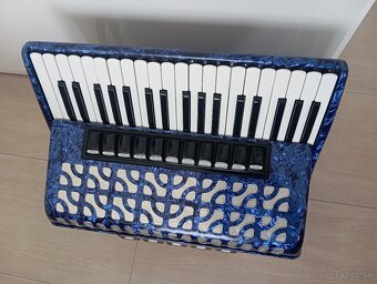 Harmonika-Akordeon - 2