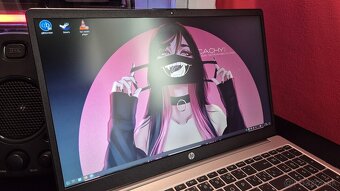HP 250 G10 - 2