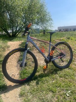 Cube 27.5” - 2