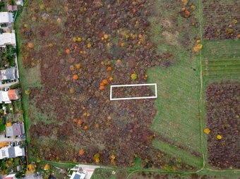 TOREA - BUDÚCI STAVEBNÝ POZEMOK NA PREDAJ - PEZINOK, MUŠKÁT - 2
