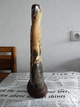 Papoušek z volského rohu - 2