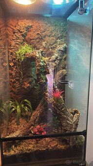 ❗️ZĽAVA❗️Zariadené terarium Phelsumy - 2