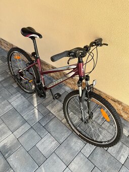 Horský bicykel CTM Suzzy 1.0 - 2