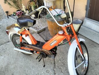 Babeta 207 - 2