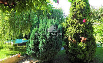 Na predaj pekný, jednopodlažný RD vo výbornej lokalite mesta - 2
