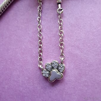 Bezpečnostná retiazka Labka - 2