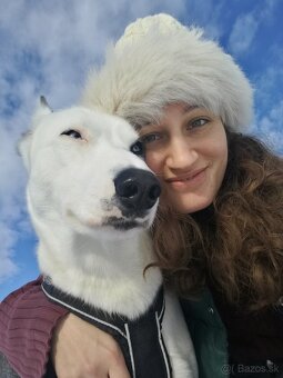 🐾 STRÁŽENIE PSÍKOV – BRATISLAVA (NIVY) 🐶 - 2