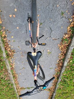 Dámsky bicykel Dema - 2