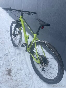 Scott scale yellow - 2