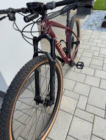 Specialized Epic HT Comp - 2