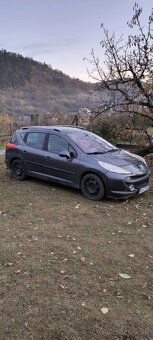 Peugeot 207sw - 2