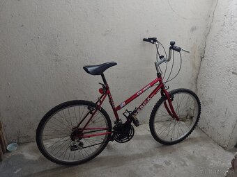 Dámsky bicykel - 2