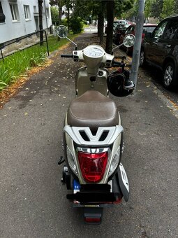 Sym Fiddle 125 FIDDLE III 125 - 2