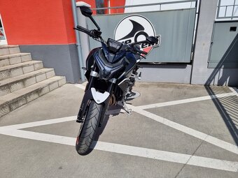 CFMOTO 800NK Sport + - 2