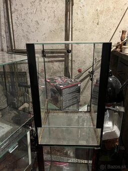 Terarium - 2