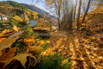 PREDAJ: Tajuplná záhrada s jazierkom a banským potôčikom, 19 - 2