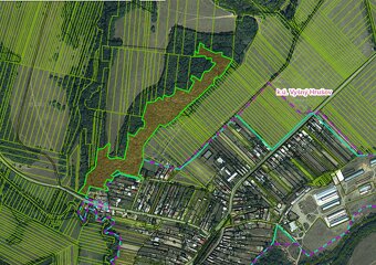 Predám Lesy a TTP v obci Vyšný Hrušov (PARCELA E 732/2)) - 2