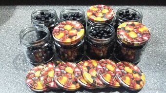 Predám ARÓNIA 100% BIO - 2