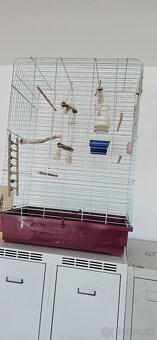 Klietka pre vtaky - 2