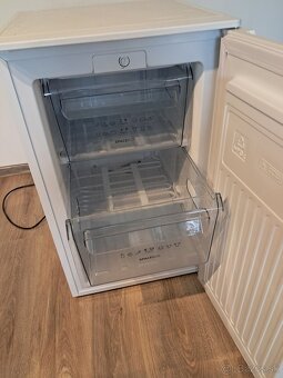 Mraznička gorenje 65l - 2