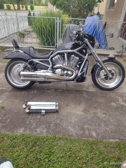 Harley Davidson v rod 1130 wrscaw - 2