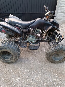 Bashan 200 - 2